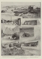 The Transvaal Crisis, Scenes in South Africa